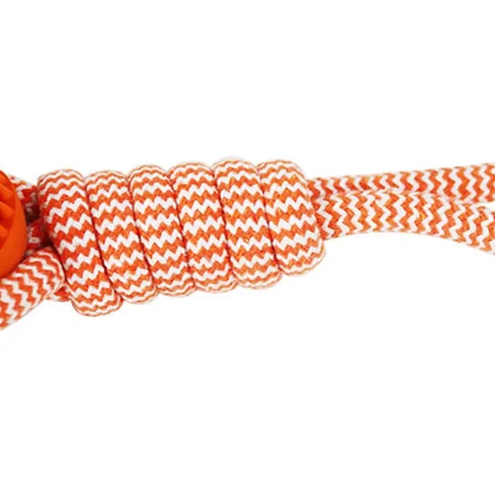 Boule de nettoyage des dents d'animaux domestiques