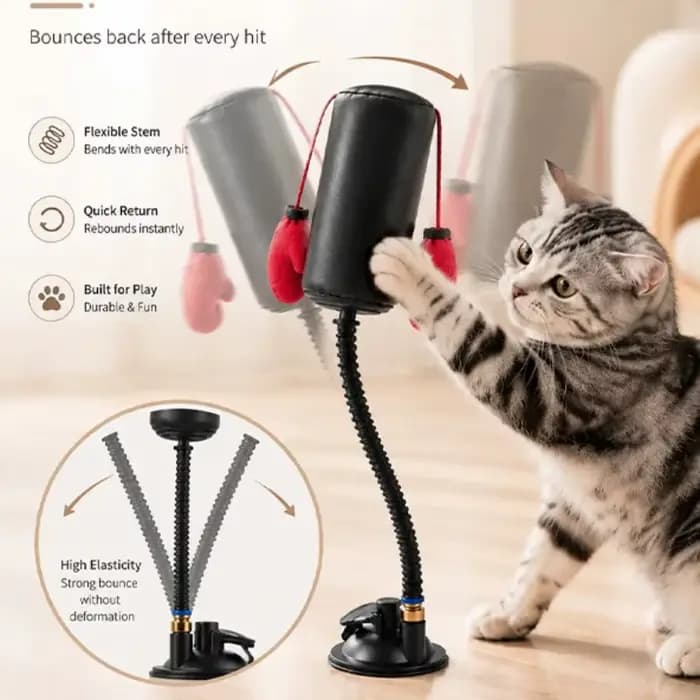 Jouet interactif de boxe pour chat, divertissement multifonctionnel pour la relaxation et l'exercice, pour chats d'intérieur et chatons