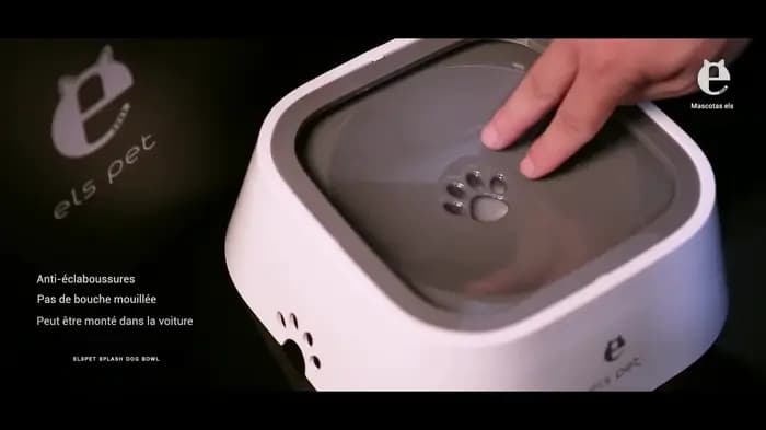 Bol d'eau pour chien, sans déversement