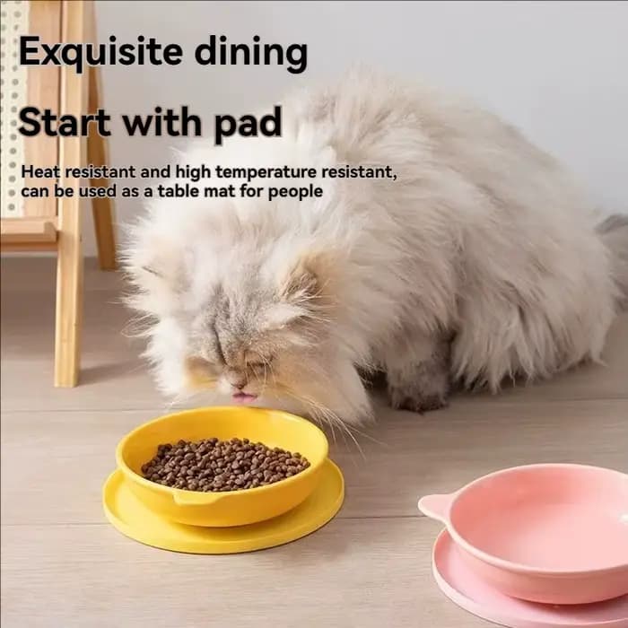 Les tapis repas pour animaux de compagnie sont anti-fuite