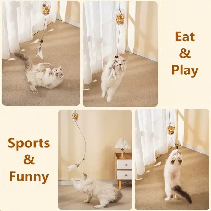 Jouet interactif pour chat
