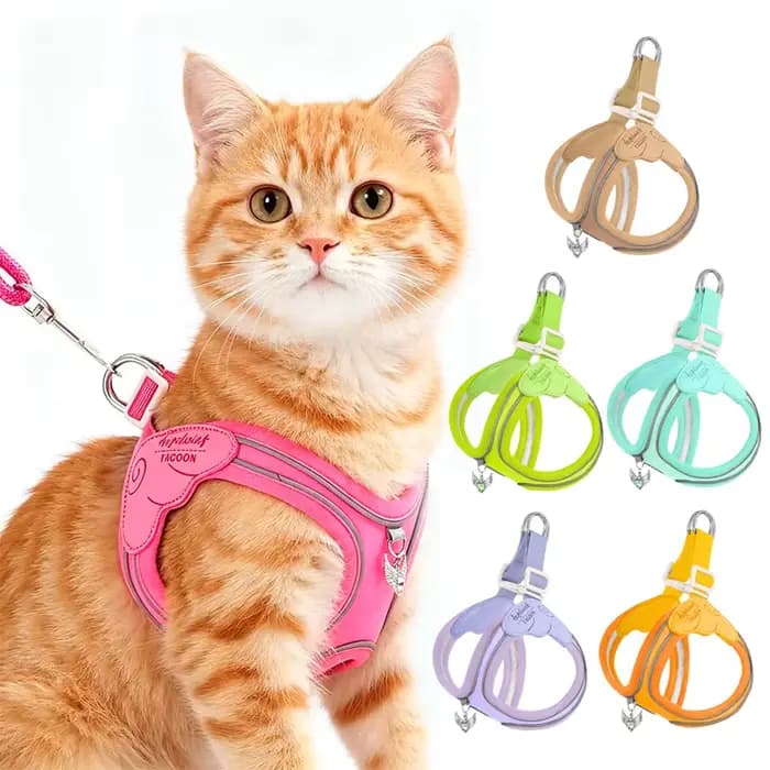 Harnais réglable anti-évasion pour chat et chien