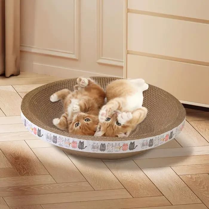 Griffoir pour chat en forme de bol