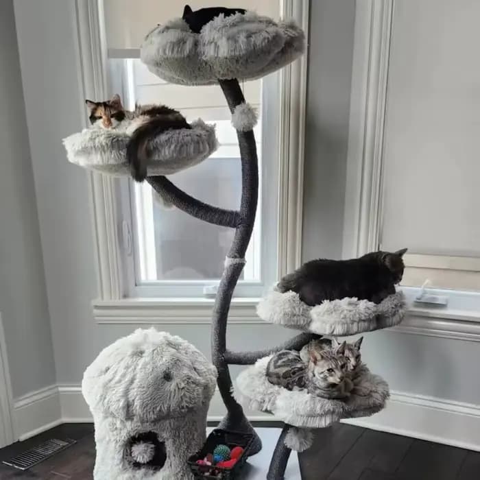 Arbre à chat en bois, tour à chat en bois
