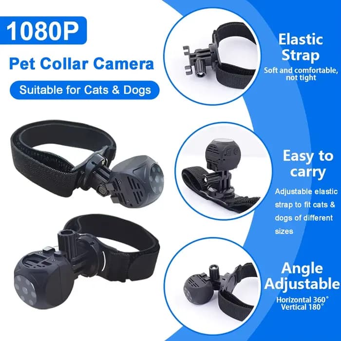Collier de caméra pour chat