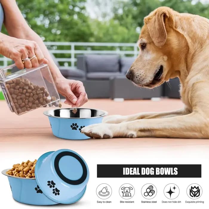 Lot de 2 gamelles pour animaux de compagnie en acier inoxydable