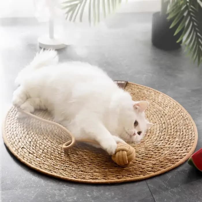 Tapis à gratter en rotin pour chat
