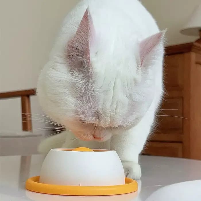 Bol d'alimentation lente pour chat