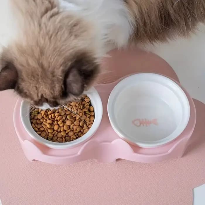 Bol créatif coloré en céramique pour chat