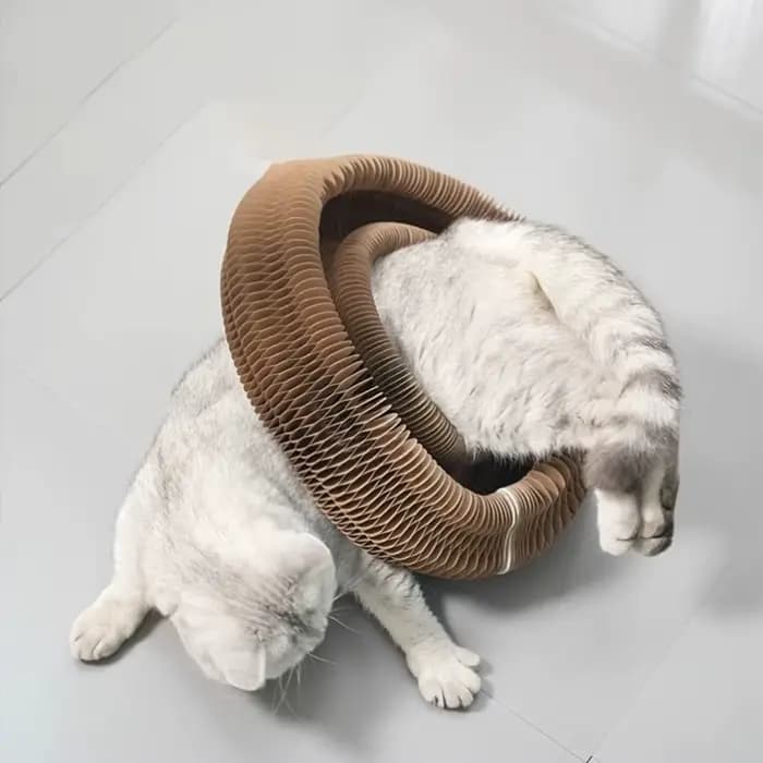 Gratte-chat en carton torsadé durable – Jouet de jeu interactif