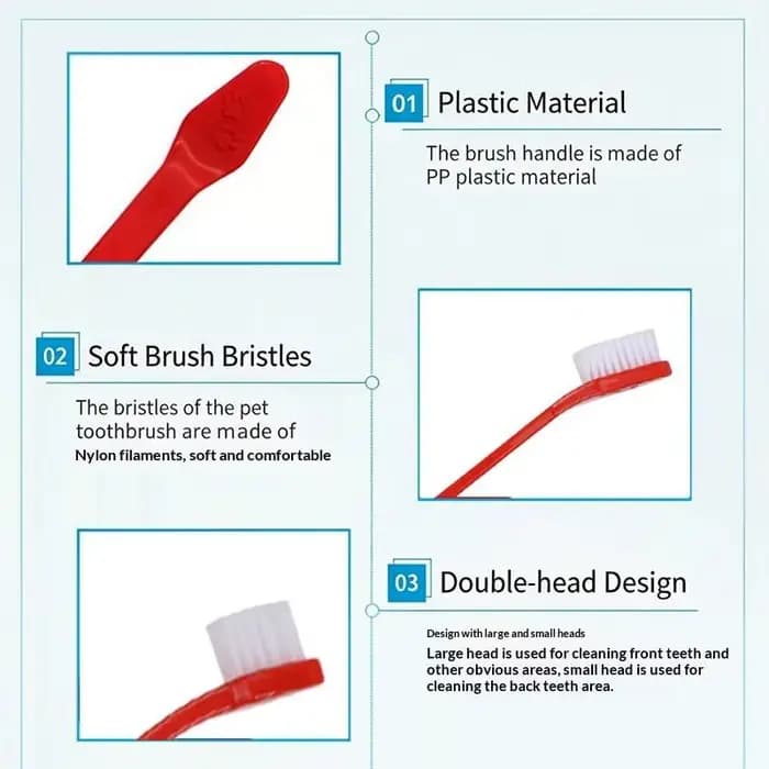 Brosse à dents pour chat et chien avec manche long pour un nettoyage en profondeur