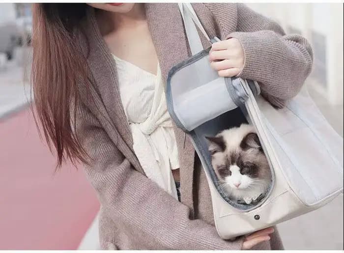 Sac à bandoulière pour animaux de compagnie, sac de transport pour chats, sac à dos en toile pour chiens, sac à dos d'extérieur respirant, sac à main créatif portable en tissu maillé