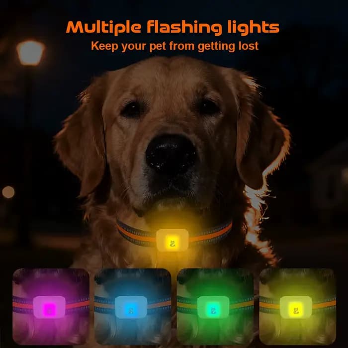 Collier GPS intelligent 4G pour chiens et chats