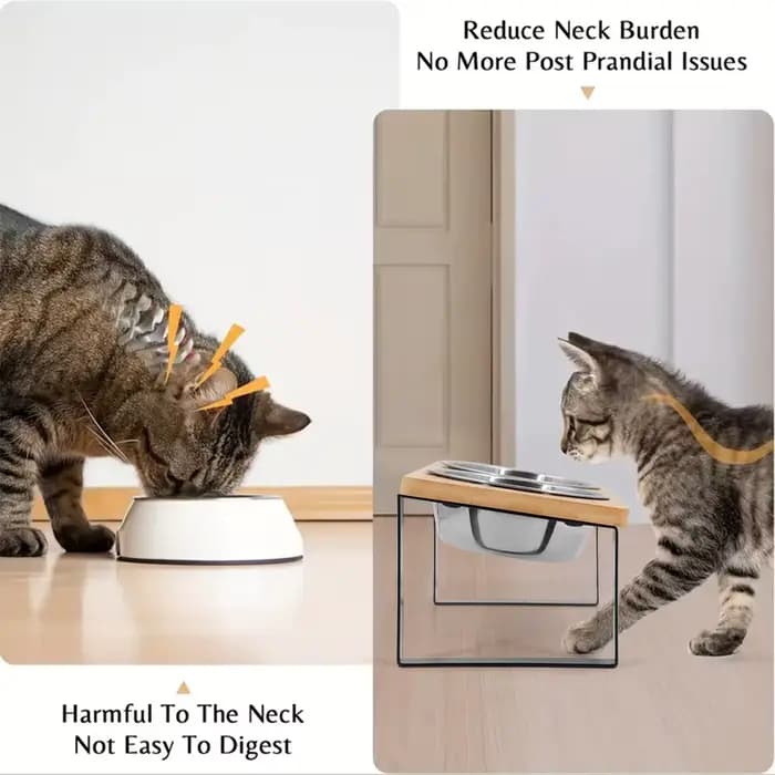 15 ° Support en bois surélevé pour animaux de compagnie avec gamelles inclinées en acier inoxydable