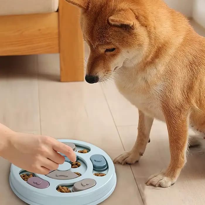 Bol anti-étouffement pour chien