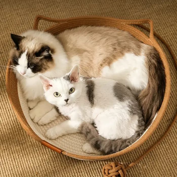 Panier Instinct pour chats, tressé à la main en corde de coton, lit d'enrichissement avec jouet en forme de queue et d'oreilles de chat, pour chiots, lapins et petits animaux