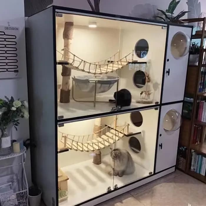 Pont mural pour chat, arbre pour animaux de compagnie