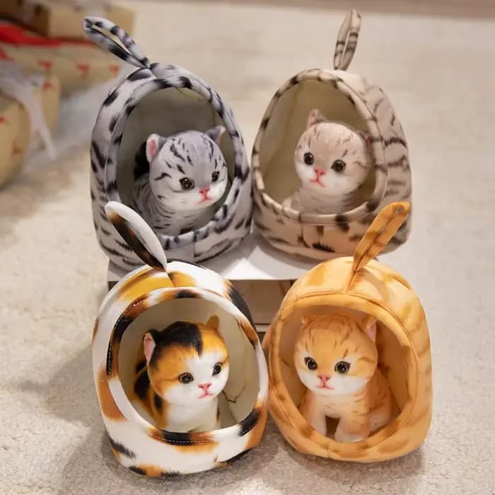 Jouets en peluche pour chatons et animaux domestiques