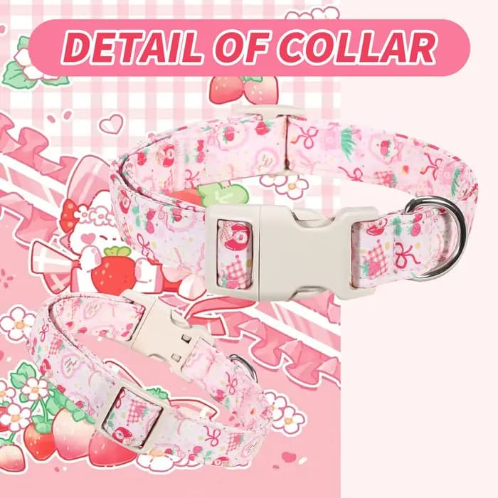 Collier anti-perte réglable et détachable pour chat et chien