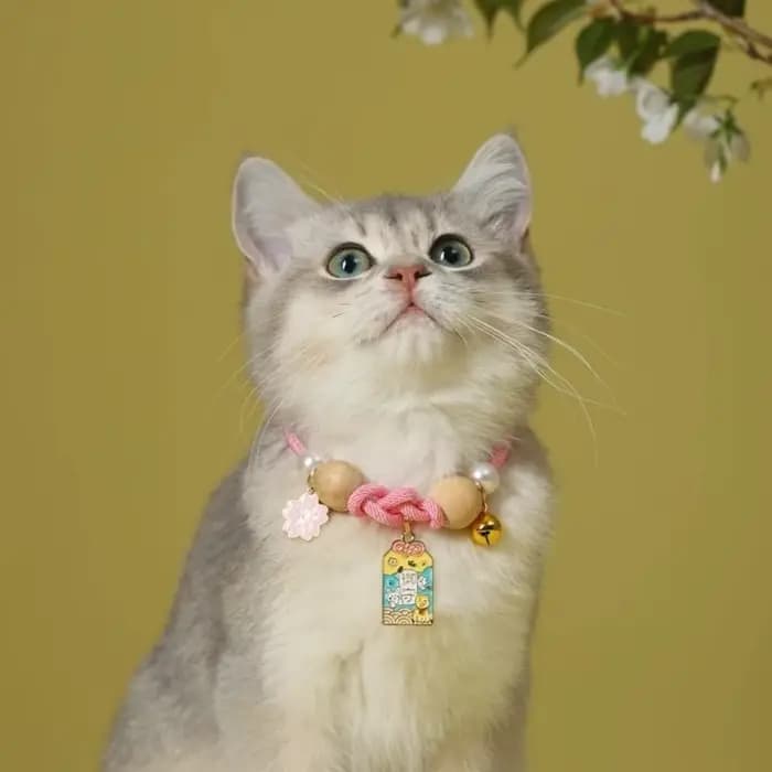 Collier anti-puces réglable pour chat