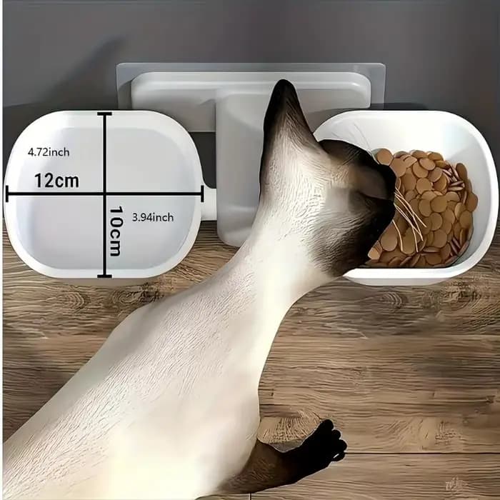 Bol mural pour chat, double bol pour animaux de compagnie