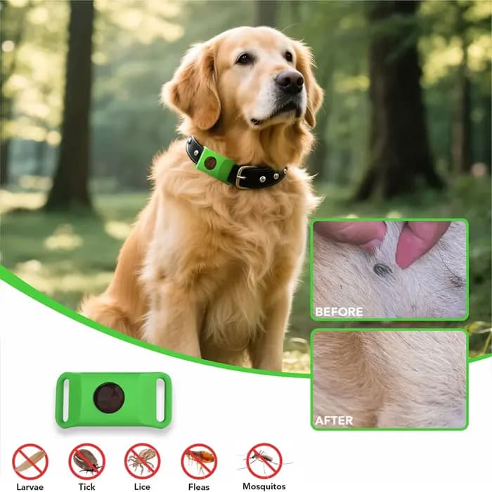 Huiles naturelles anti-puces et anti-touche pour collier de chiens et de chats