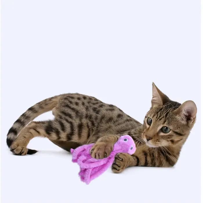 Jouet pour chat en peluche douce en forme de pieuvre