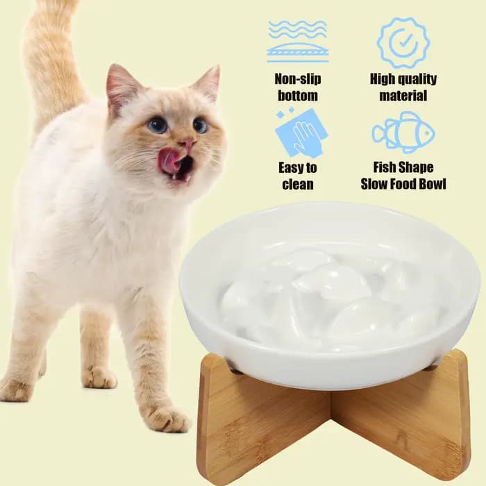 Bol pour chat surélevé bols