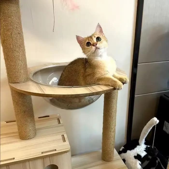 Poteau à gratter pour arbre à chat