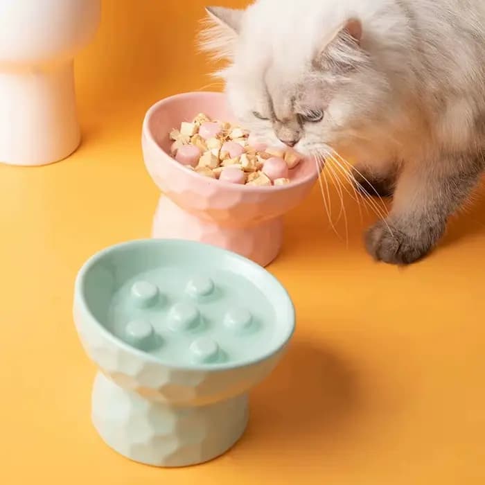Bol en céramique pour chat, sur pieds hauts, anti-choc, à ouverture inclinée, protection du cou, pour animaux de compagnie, chiens et chats, 1 pièce