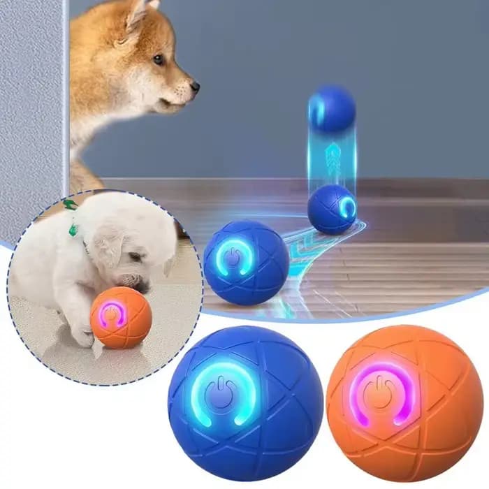 Balle de jouet pour chien