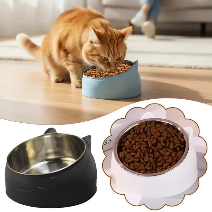 Bol pour chat 100 ml 15 ° Bol en acier inoxydable inclinable antidérapant