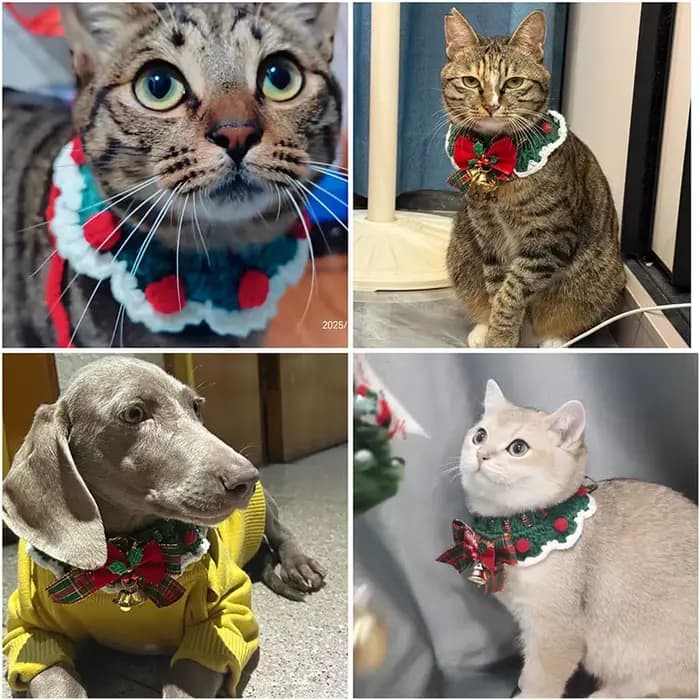 Collier à nœud papillon en laine au crochet pour chat mignon