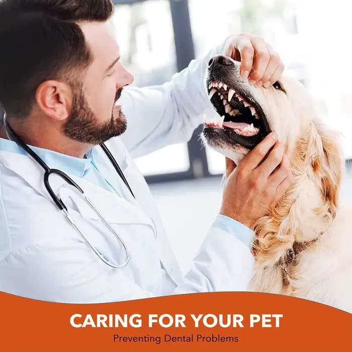 Brosse à dents pour chien et chat