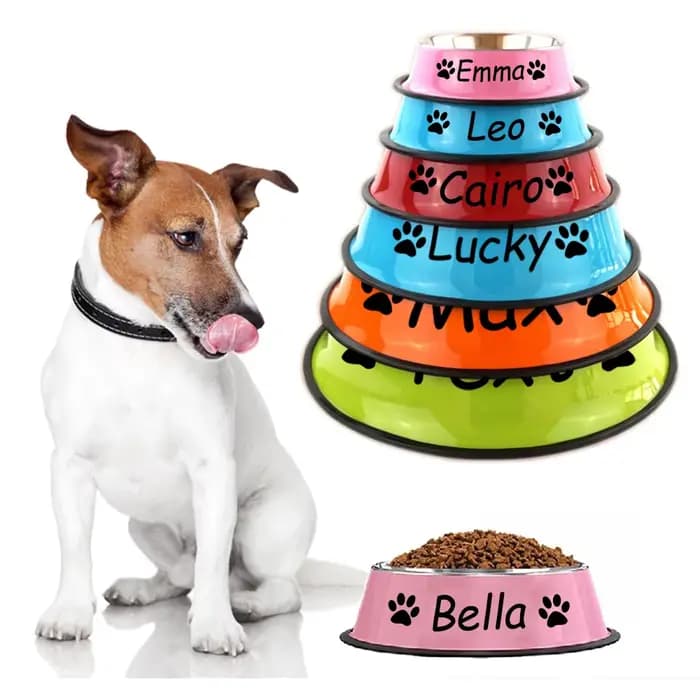 Nom personnalisé chien chat bol en acier inoxydable animal de compagnie coloré eau nourriture anti-dérapant bassin à manger circulaire bol personnalisé Multi taille