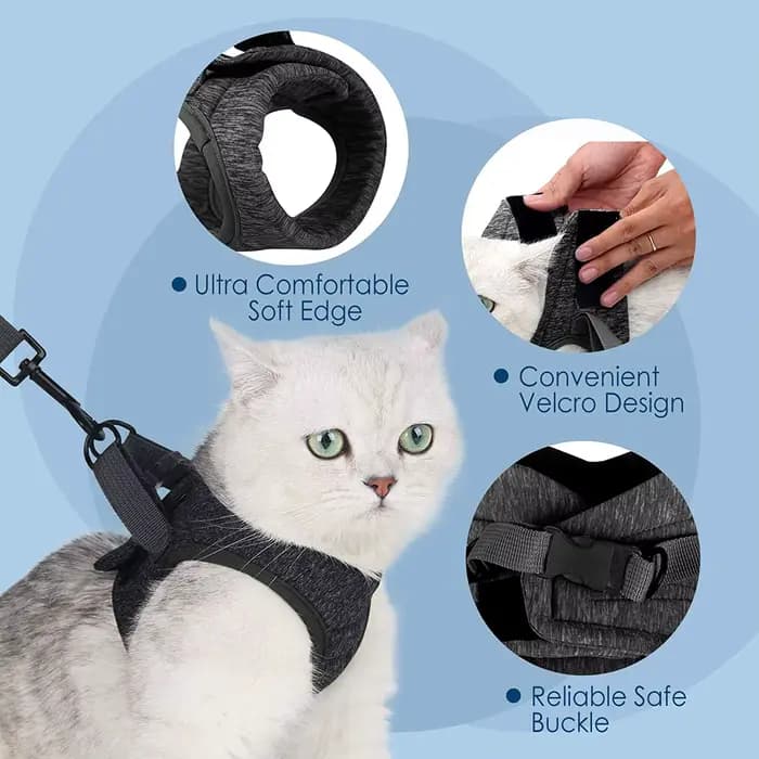 Harnais réglable pour chat avec laisse