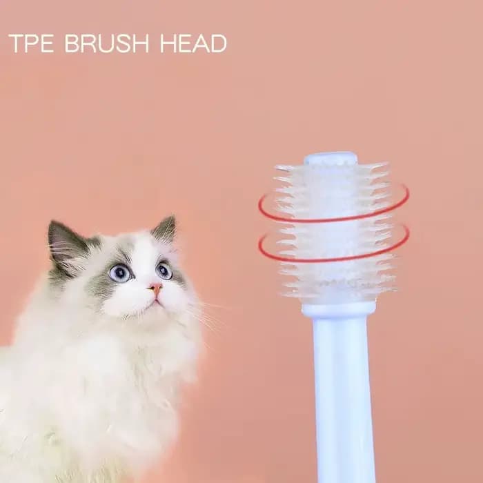 360 degrés brosse à dents pour animaux de compagnie chat
