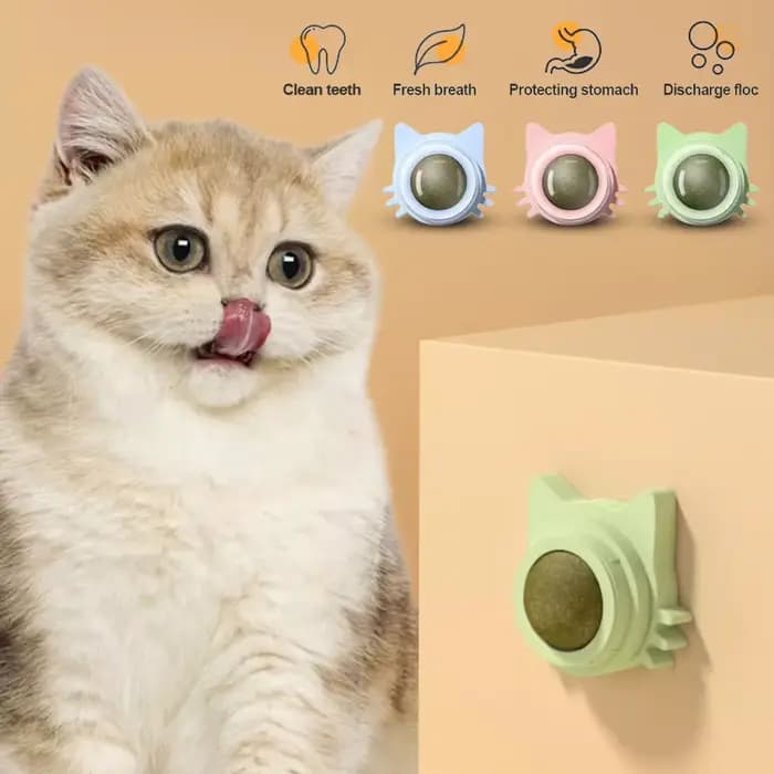 Sucette collée en herbe-aux-chats