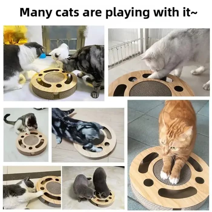 Grattoir pour chat, poste à gratter pour chat, résistant à l'usure, planche à gratter pour chaton, protection des meubles