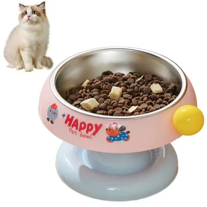 Bol pour animaux de compagnie en acier inoxydable à pied haut