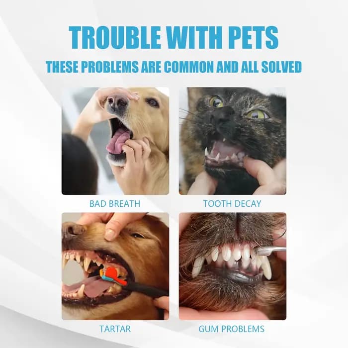 YEGBONG dentifrice pour animaux de compagnie formule comestible contrôle du tartre rafraîchit l'haleine nettoyage buccal doux pour chiens chats toutes races utilisation quotidienne
