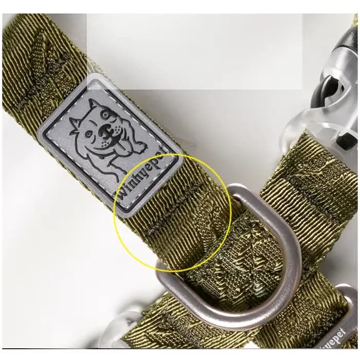 Nylon SFP Double-H personnalisé pour chien