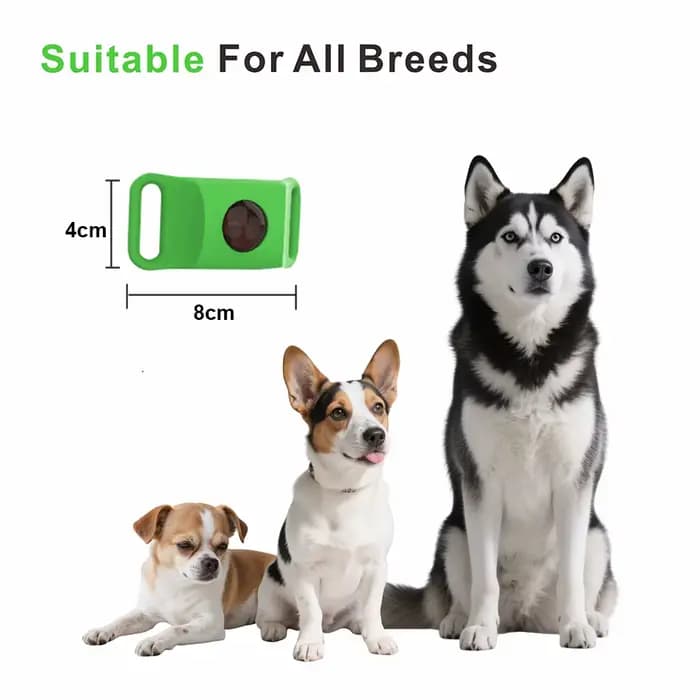 Huiles naturelles anti-puces et anti-touche pour collier de chiens et de chats