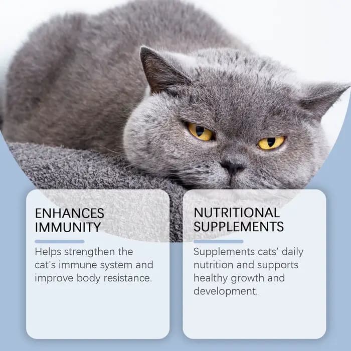 Yegbong 50 ml supplément vitaminique pour chat soins quotidiens pour aider à la nutrition, favoriser la croissance et soutenir la récupération du chat, gouttes de soins vitaminiques