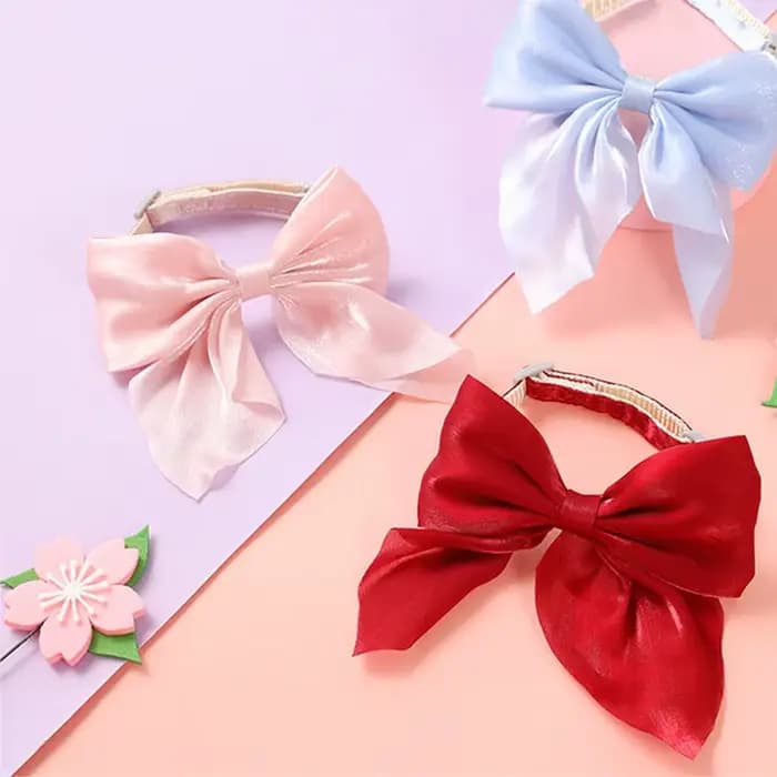 Collier pour chat réglable
