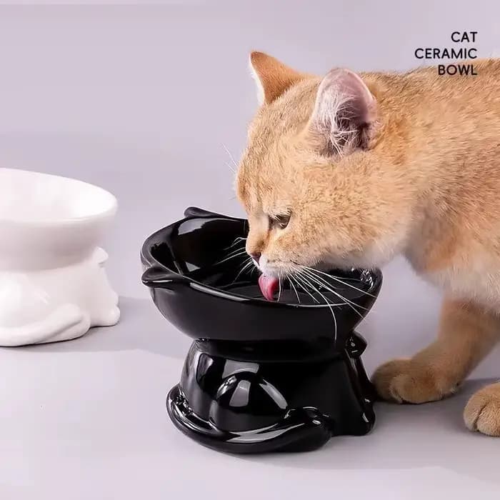 Bol pour chat anti-renversement
