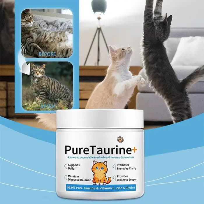 Complément alimentaire en poudre de taurine pour chats