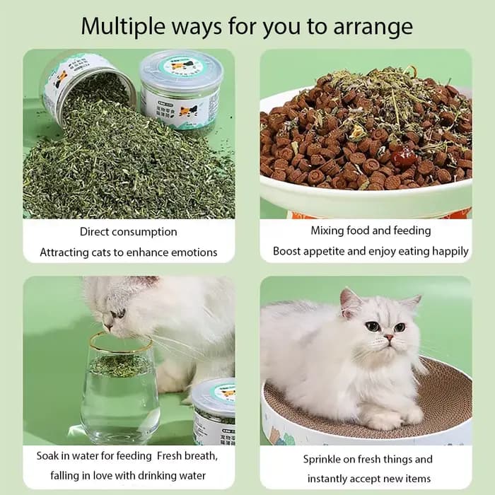 Bio 100% naturel de haute qualité herbe-aux-chats bétail goût de menthe drôle chat jouet nouveau