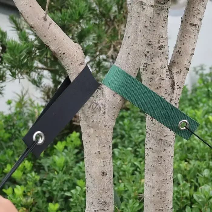 Sangles de support d'arbres (20/1 pièce) – Fixation des branches, protection anti-vent, outils de redressement, ceinture en nylon pour plantes, accessoires de jardin