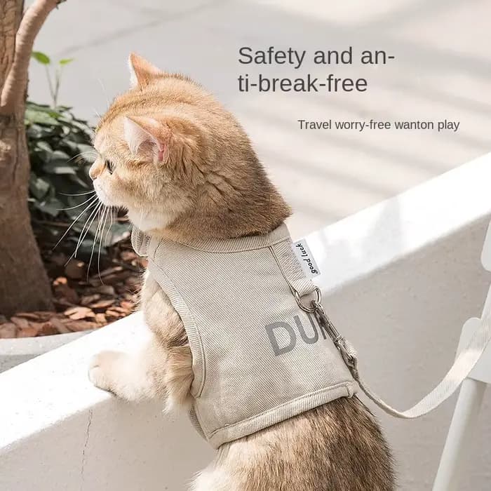 Corde de Traction pour chat